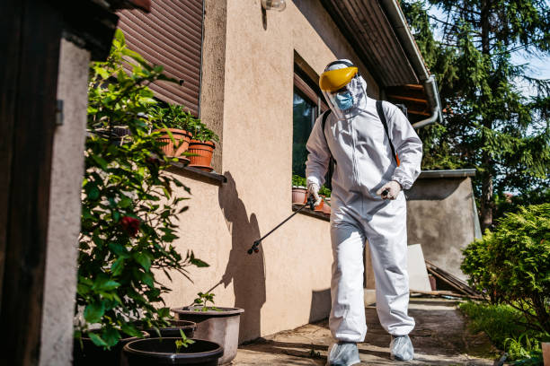 Best Rat Extermination Near Me  in Cairo, GA