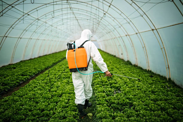 Trusted Cairo, GA Pest Control Experts