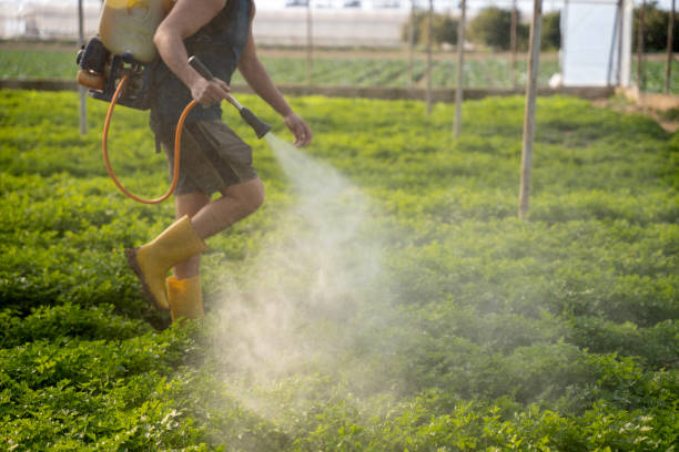 Best Mosquito Control Services  in Cairo, GA