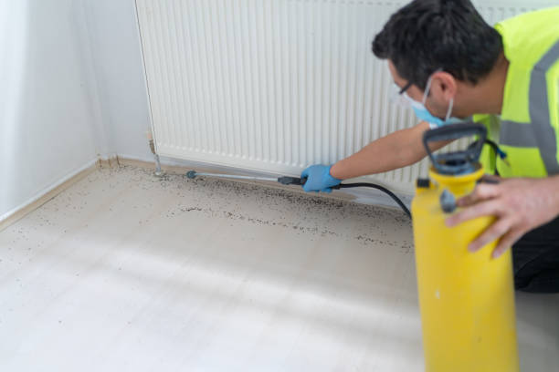 Best Pest Removal Services  in Cairo, GA