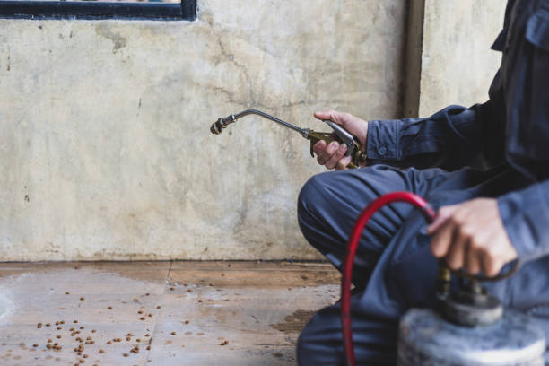 Trusted Cairo, GA Pest Control Experts