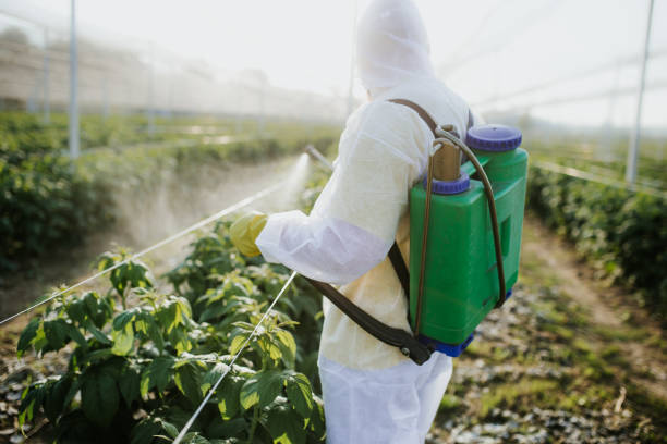 Best Pest Control Near Me in Cairo, GA